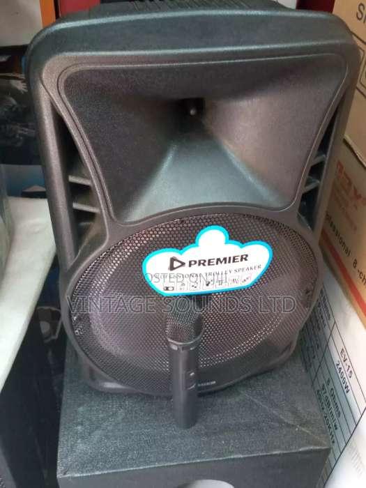 Portable Powered Speaker12 Inches