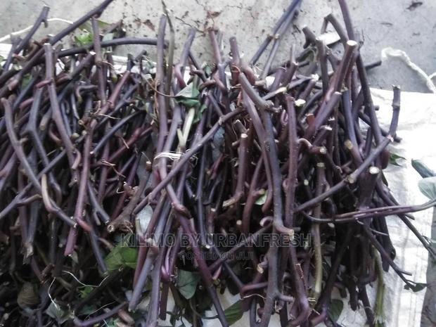 100 Sweet Potato Vines : Purple / Orange Fleshed.