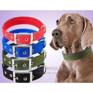Dog Collar - main view