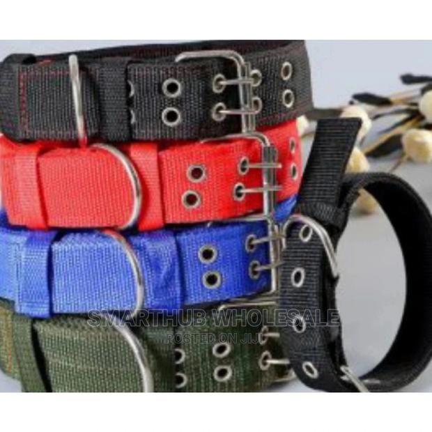 Dog Collar - thumbnail 2