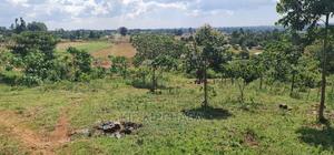 Prime 2 Acres Touching Bypass in Lemook Kapsetet Eldoret - thumbnail 2