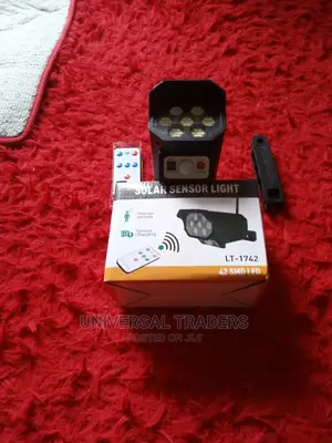 Solar Motion Sensor Light