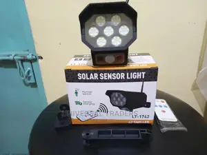 Solar Panel Sensor Light