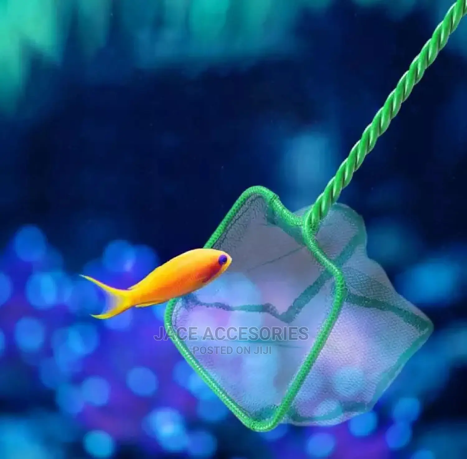 Acquarium Fish Net