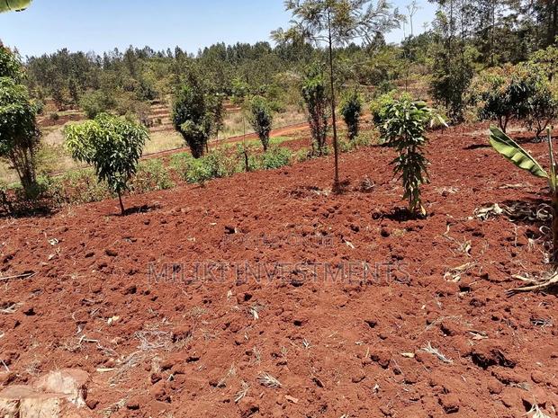 Quarter an Acre at Sabasaba - main view