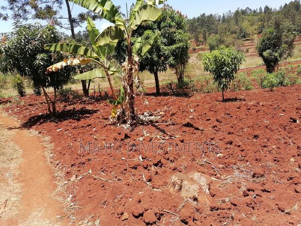 Quarter an Acre at Sabasaba - thumbnail 3