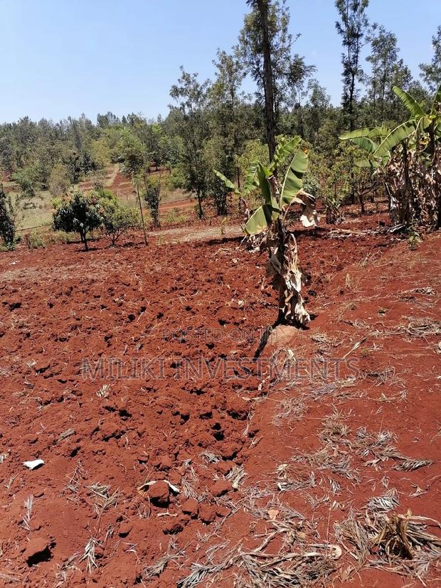 Quarter an Acre at Sabasaba - thumbnail 7