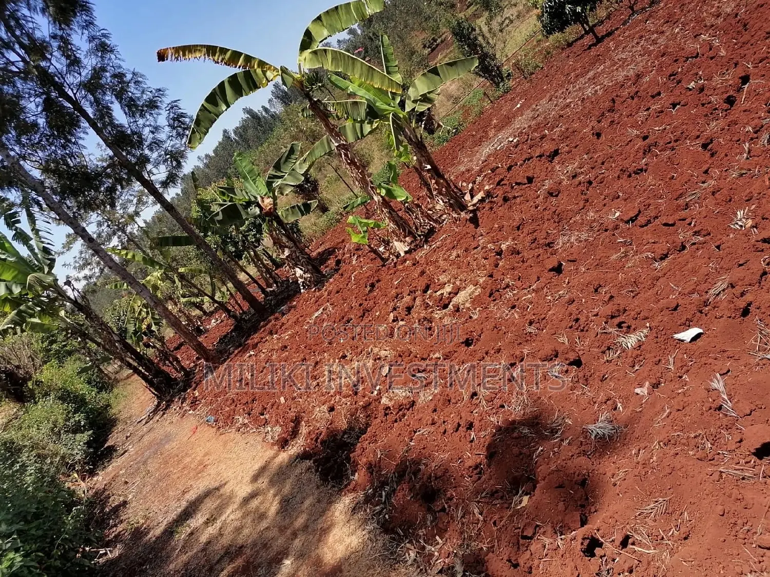 Quarter an Acre at Sabasaba