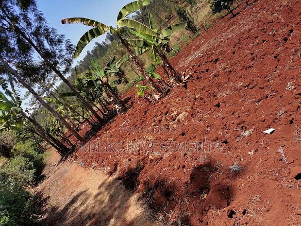 Quarter an Acre at Sabasaba - thumbnail 8