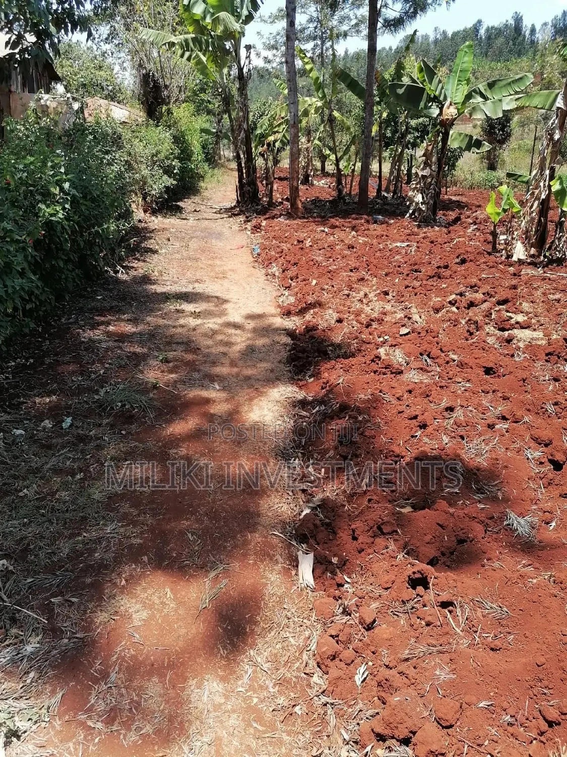 Quarter an Acre at Sabasaba