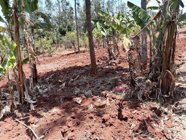 Quarter an Acre at Sabasaba - thumbnail 10