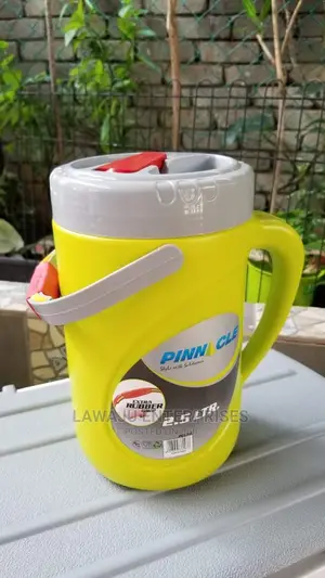 2.5L Cooler Box
