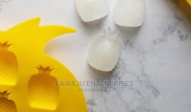 Mixed Fruit Design Ice Cube Moulds
