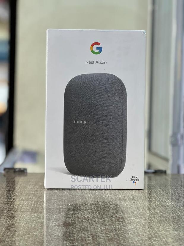 Google Nest Audio
