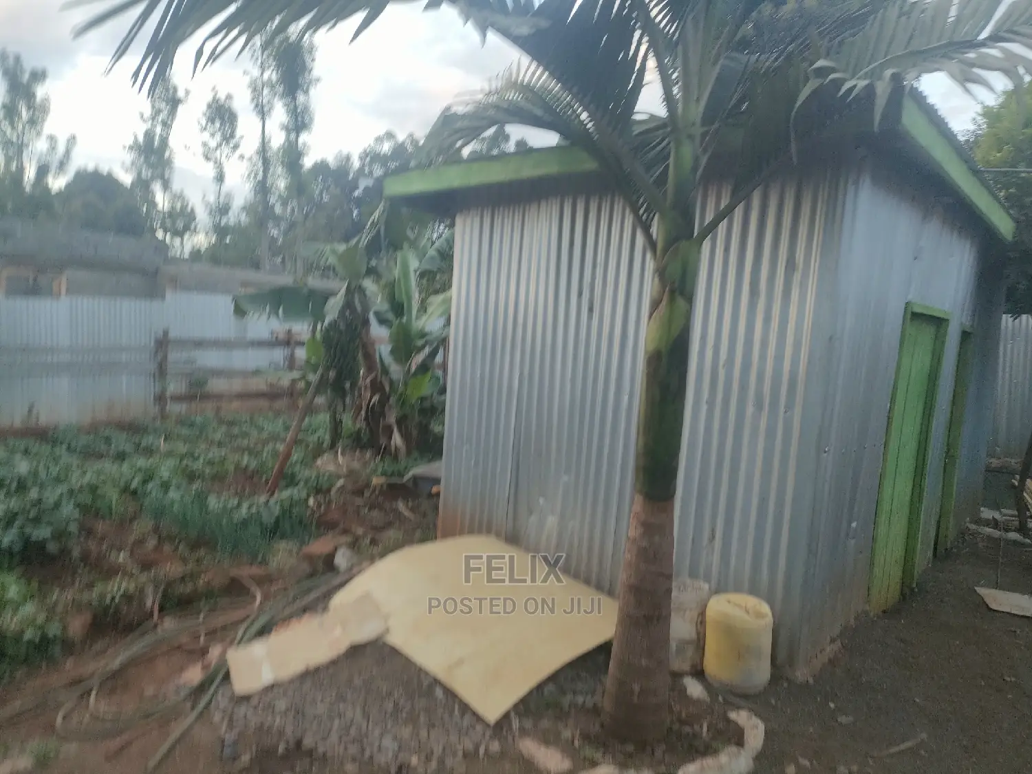 4 Bedroomed House Karatina/Mathaithi