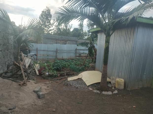 4 Bedroomed House Karatina/Mathaithi - thumbnail 4