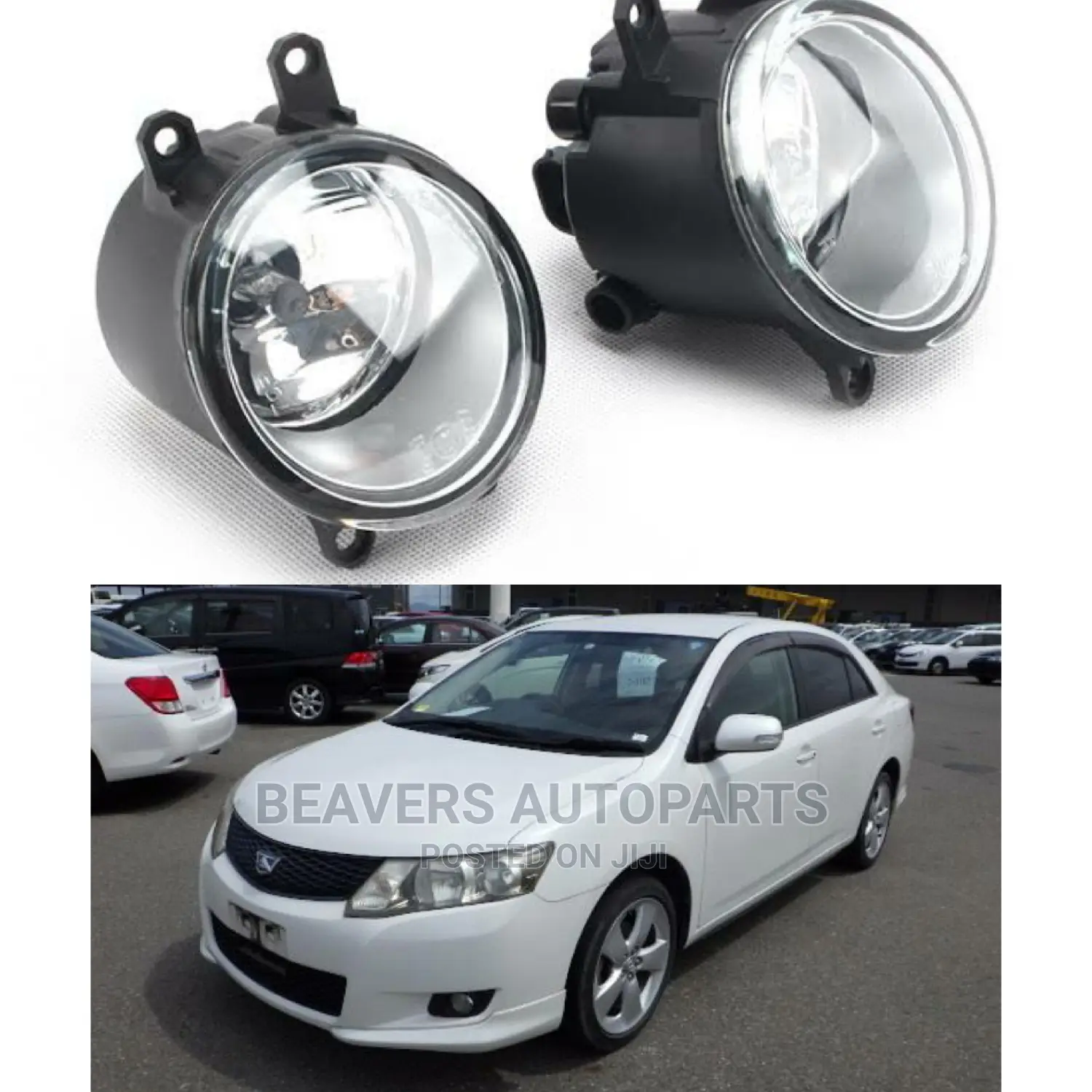 Allion 260 Foglight