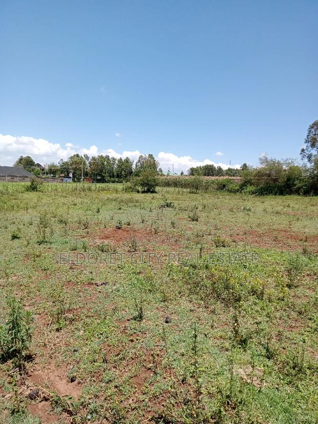 1/4 Plot Hillside Good for Residential - thumbnail 2