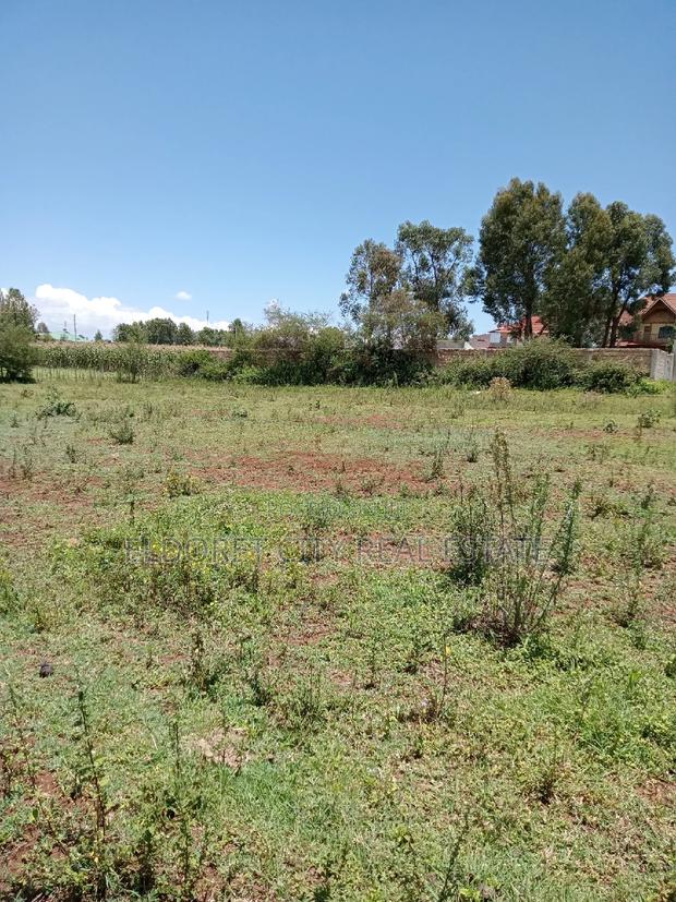 1/4 Plot Hillside Good for Residential - thumbnail 3