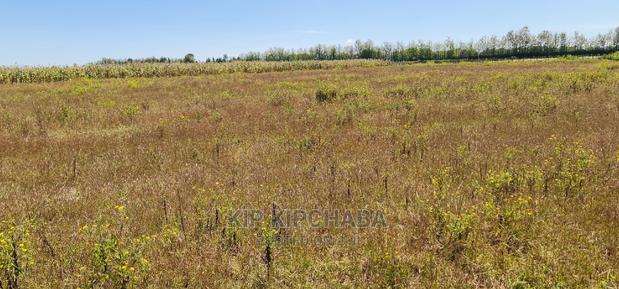 1⁄4 Plots for Sale in Kimumu Marura Near Highway in Eldoret