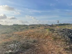 Beach Plot 6 Acres on Sale at Kilifi