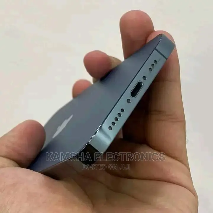 New Apple iPhone 12 Pro Max 256 GB Blue
