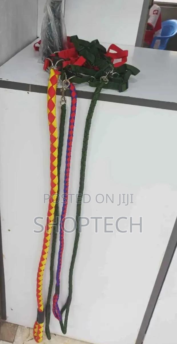 Brand New Dog Leash - thumbnail 3