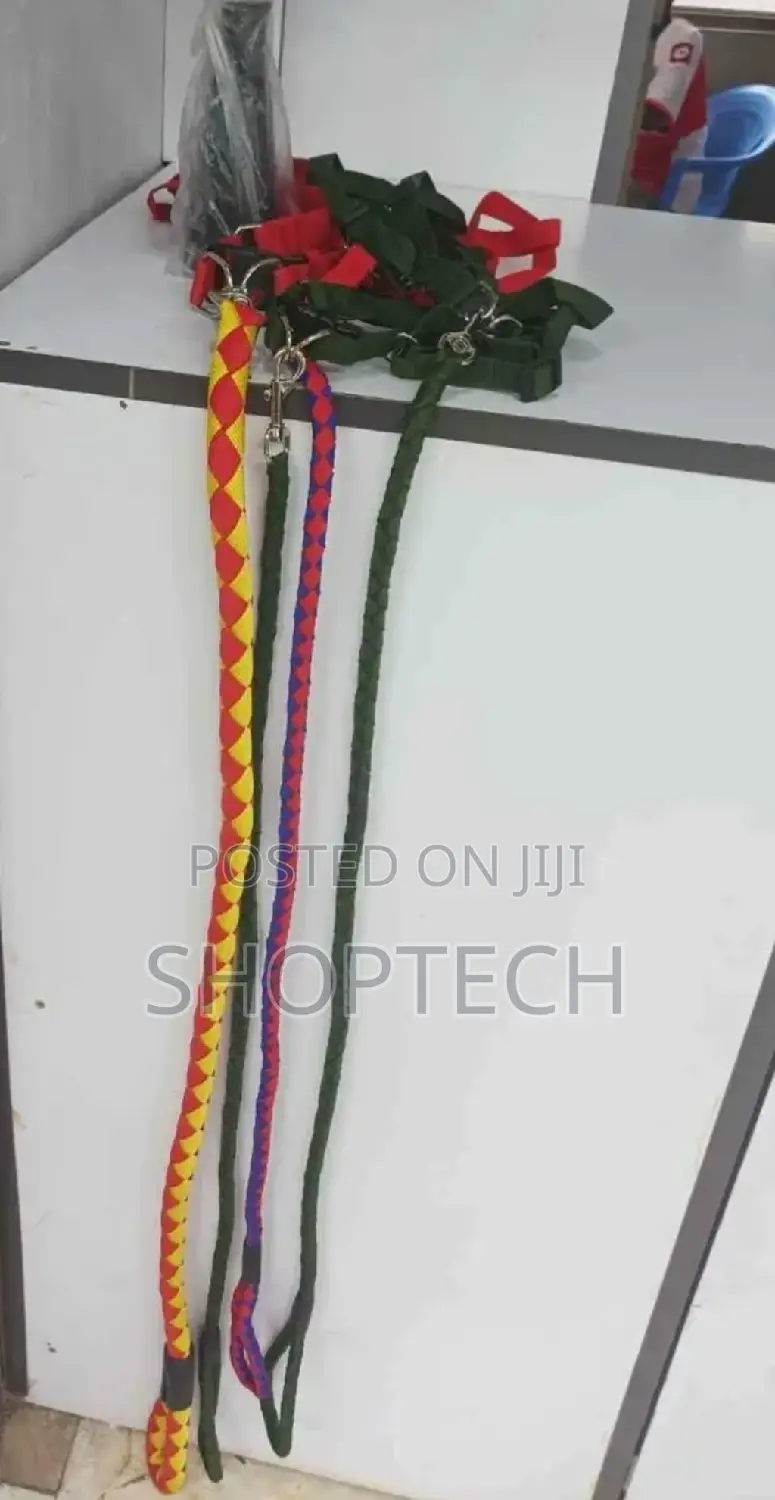 Brand New Dog Leash