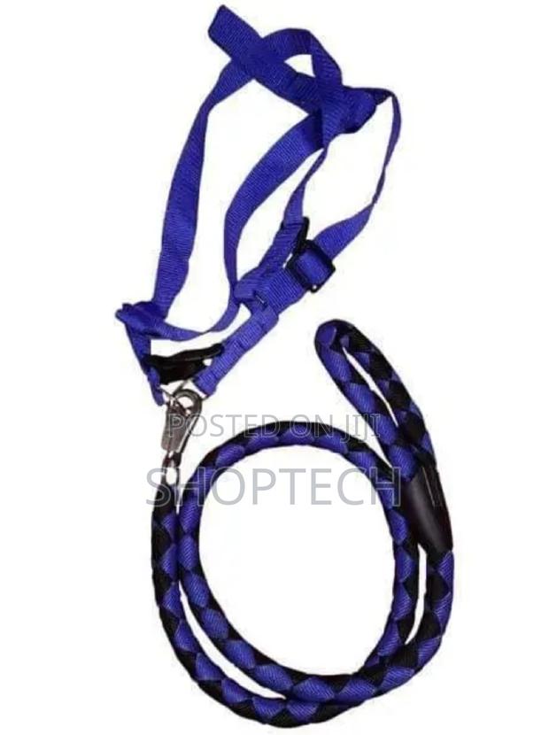 Brand New Dog Leash - main view