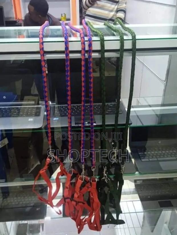 Brand New Dog Leash. - main view