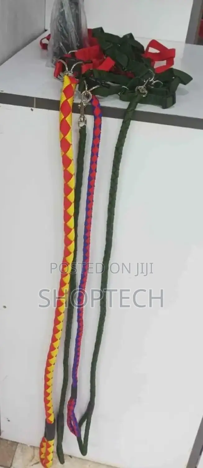 Medium and Large Dog Leash