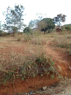 Kakuzi/ Kirimiri/ Block 1/ X (9.75 Acres)