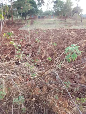 Kakuzi/ Kirimiri/ Block 1/ X (9.75 Acres)