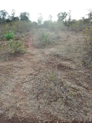 Kakuzi/ Kirimiri/ Block 1/ X (9.75 Acres)