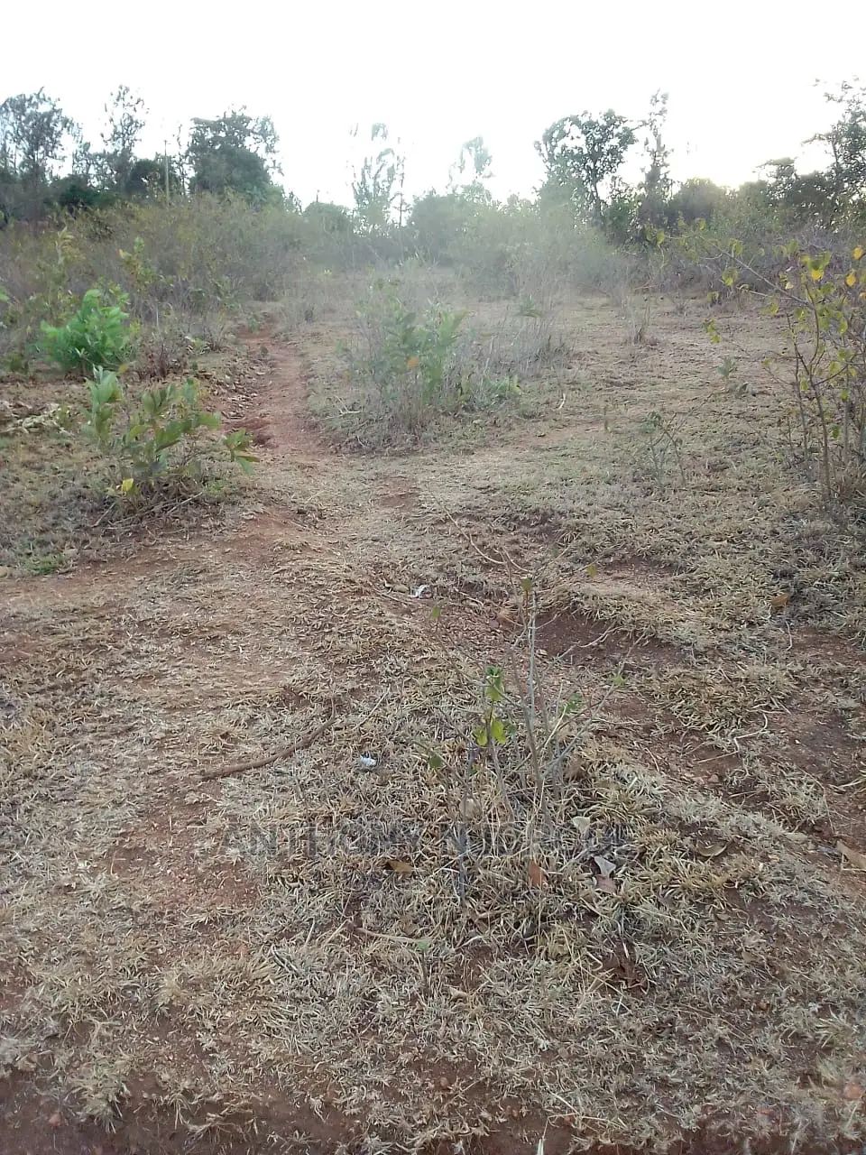 Kakuzi/ Kirimiri/ Block 1/ X (9.75 Acres)