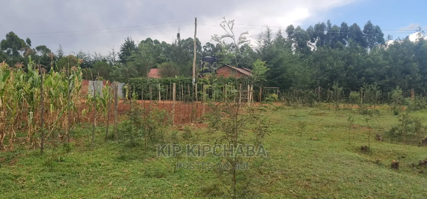 Plots for Sale in Segero Rivertex Road in Eldore