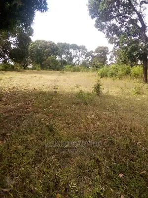 Title No: Bamburi Utange