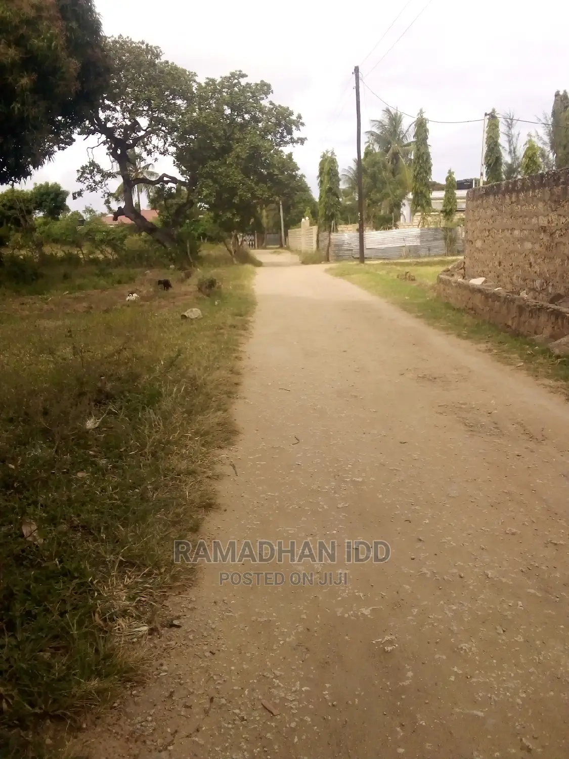 Title No: Bamburi Utange