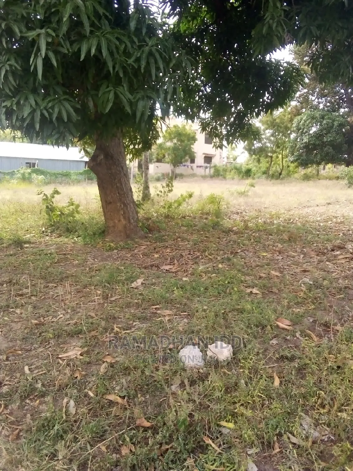 Title No: Bamburi Utange