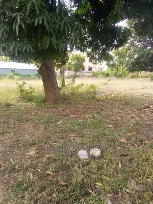 Title No: Bamburi Utange