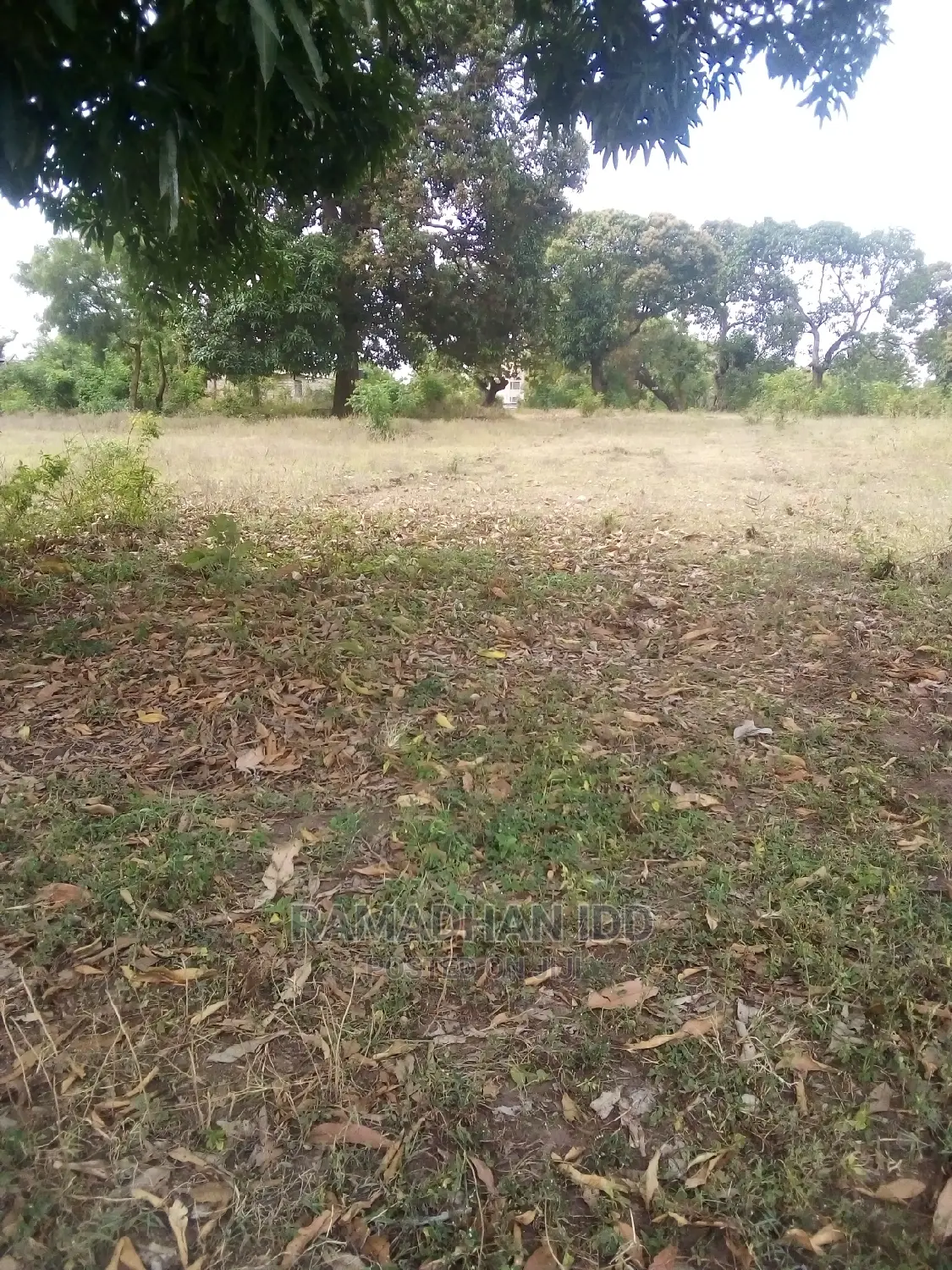 Title No: Bamburi Utange