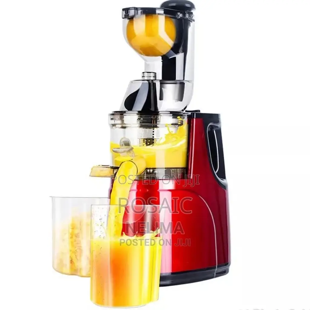 Rebune Slow Juicer