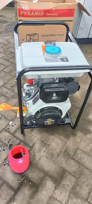 Hogh Quality 3" Diesel Pyramid Water Pump for Sale