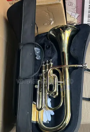 Bb Baritone With Stainless Piston