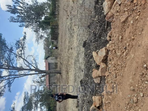 Jujafarm Plots for Sale - thumbnail 3