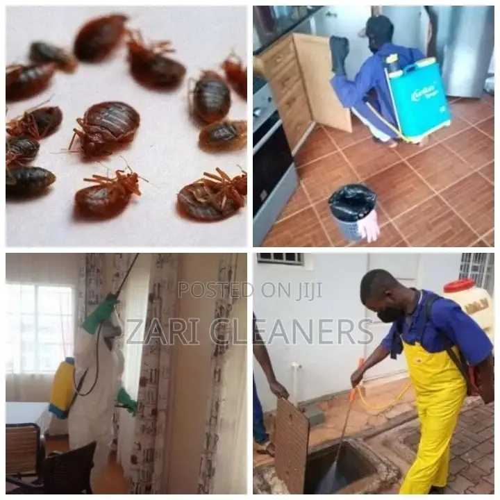 Fumigation Services in Syokimau