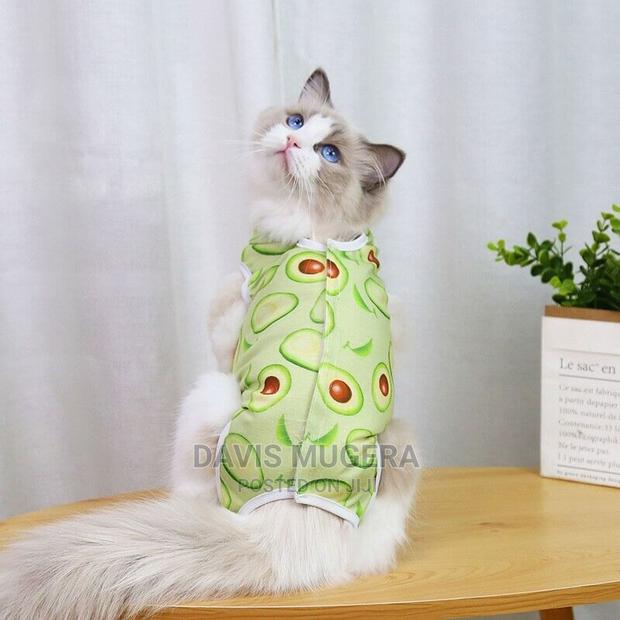 Funky Small Dog Cat Recovery Suit Clothe Pajamas - thumbnail 4