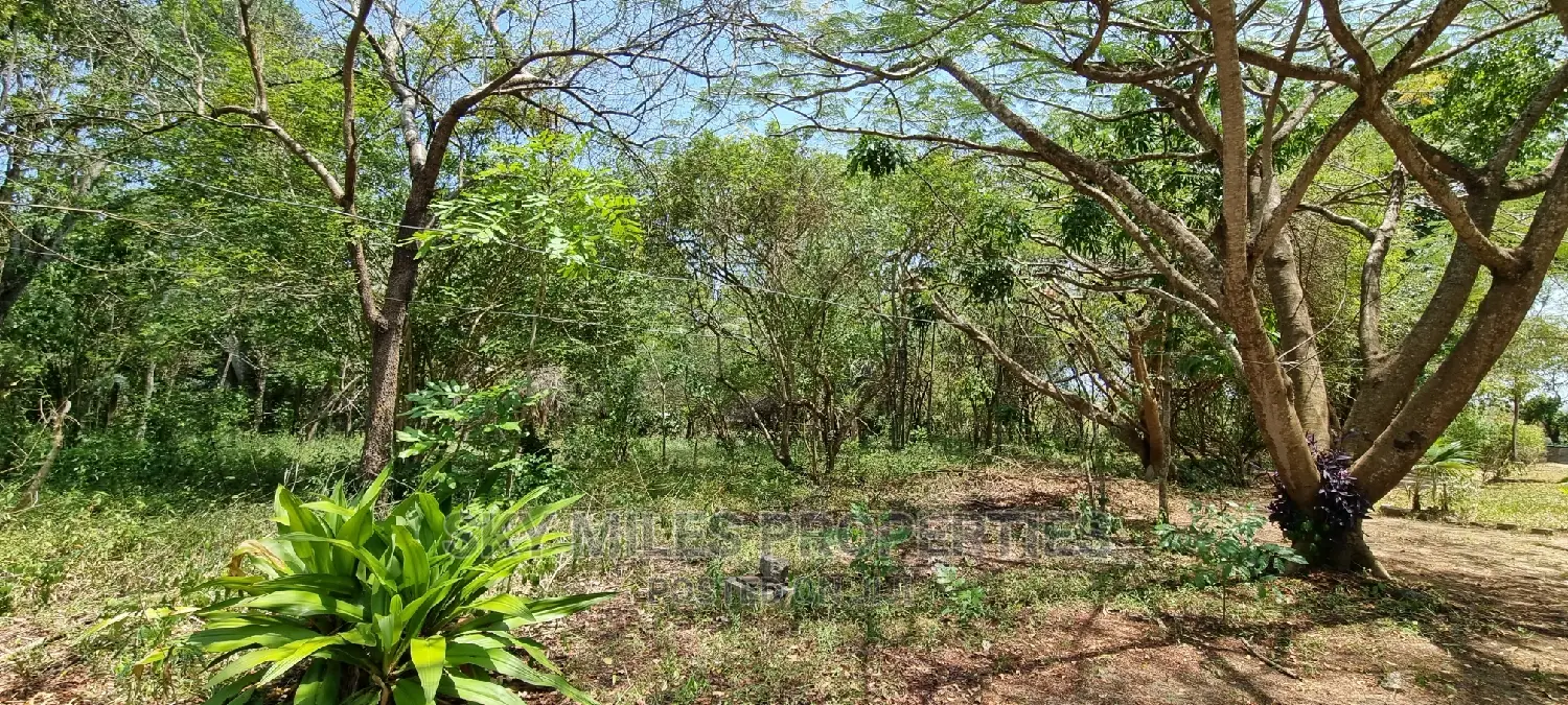 1/2 Acre Land Creekside Beach on Sale at Mtwapa