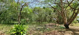 1/2 Acre Land Creekside Beach on Sale at Mtwapa