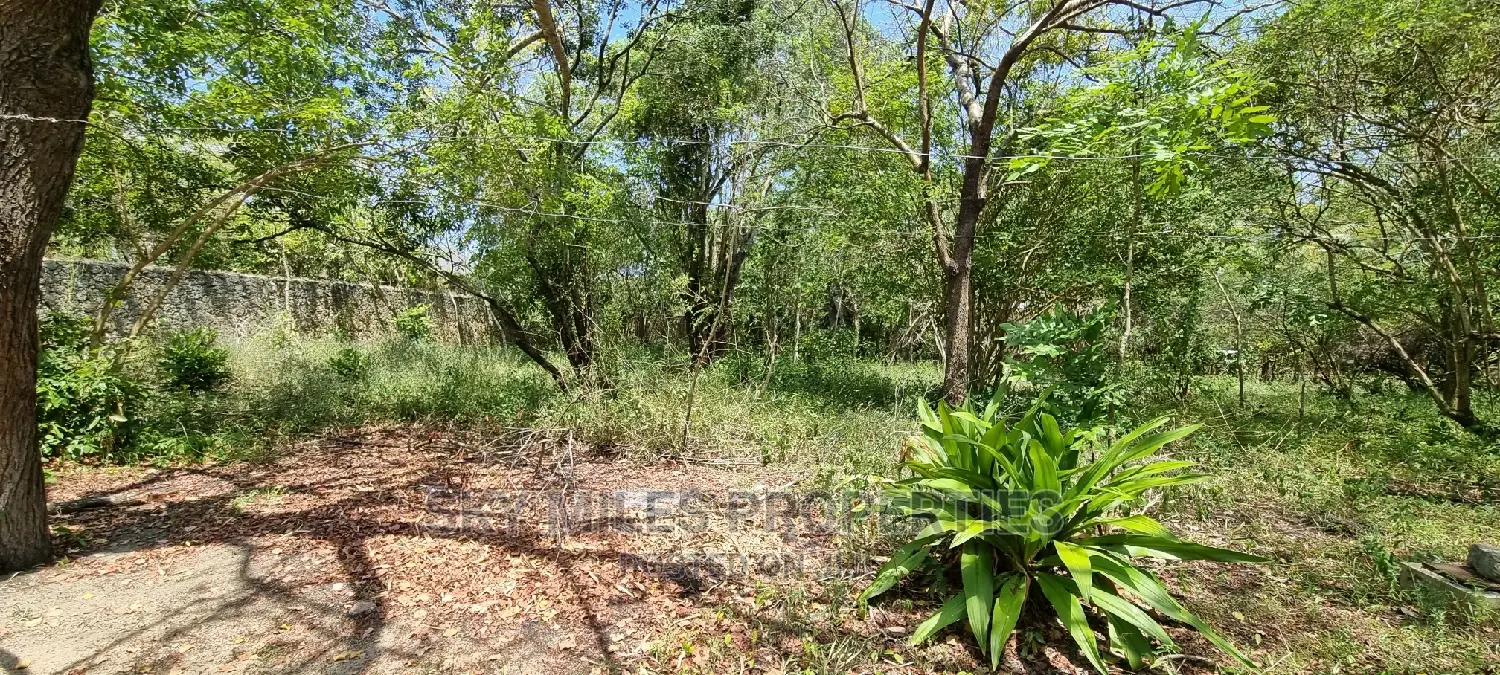 1/2 Acre Land Creekside Beach on Sale at Mtwapa